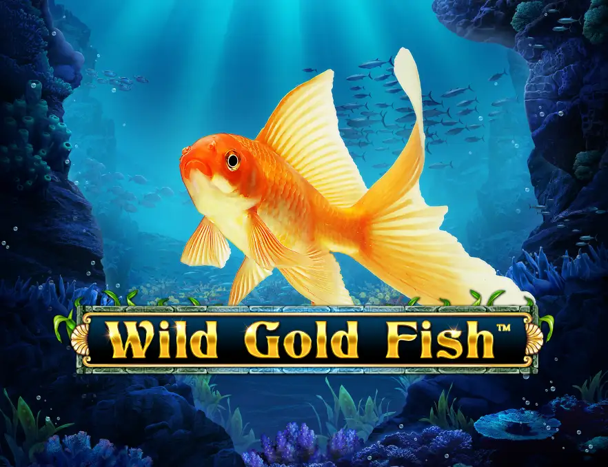 Wild Gold Fish