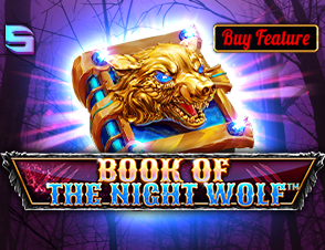 Book Of Night Wolf