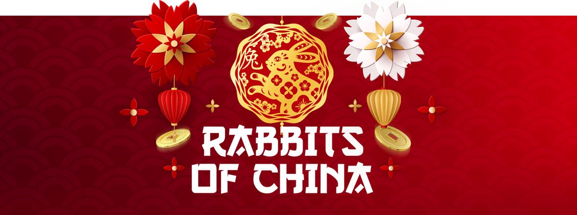 Rabbits of China