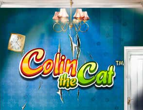 Colin The Cat